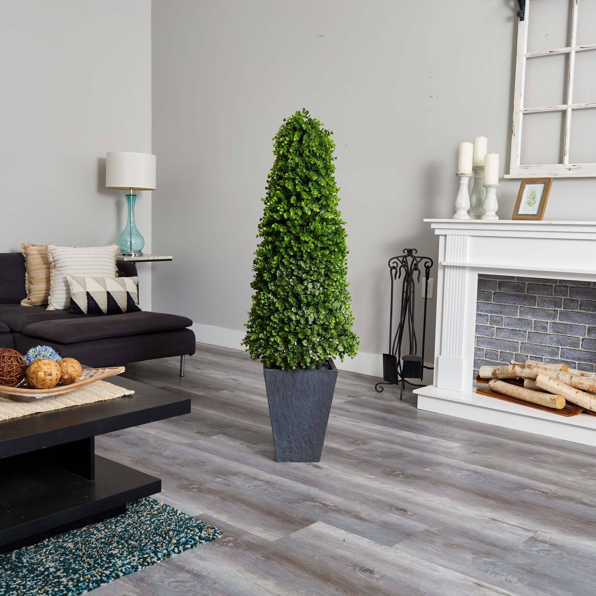 5ft. Eucalyptus Topiary Tree in Slate Planter